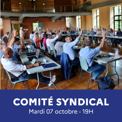 Comité syndical