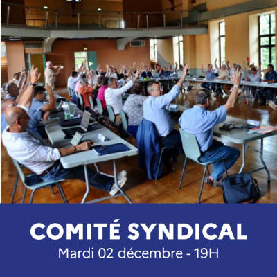 Comité syndical